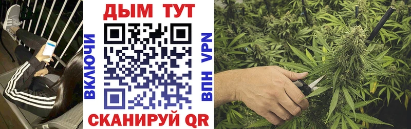 Каннабис White Widow  Купить  Чебоксары 